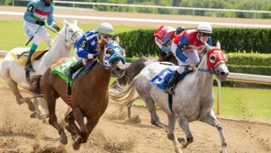 Revealing the Amazing Strategy of Horse Racing Sites That Changed Money Flow!