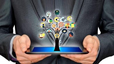 Don’t Put All Your Eggs in One Basket: The Art of Business Diversification